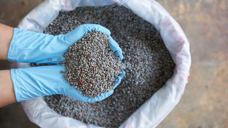 Недостигът на торове може да се окаже по-лош от недостига на горива